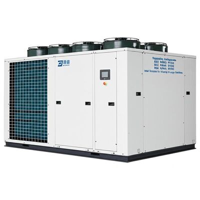 Geräuschpegel ≤65dB Klimaanlagensystem unterstützt Kältemittel R22 R407C R134A R410A Ideale Lösung für Kühlung in großen Anlagen